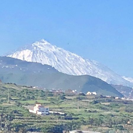 Appartamento Armonia Park-Bajamar Bajamar  Esterno foto
